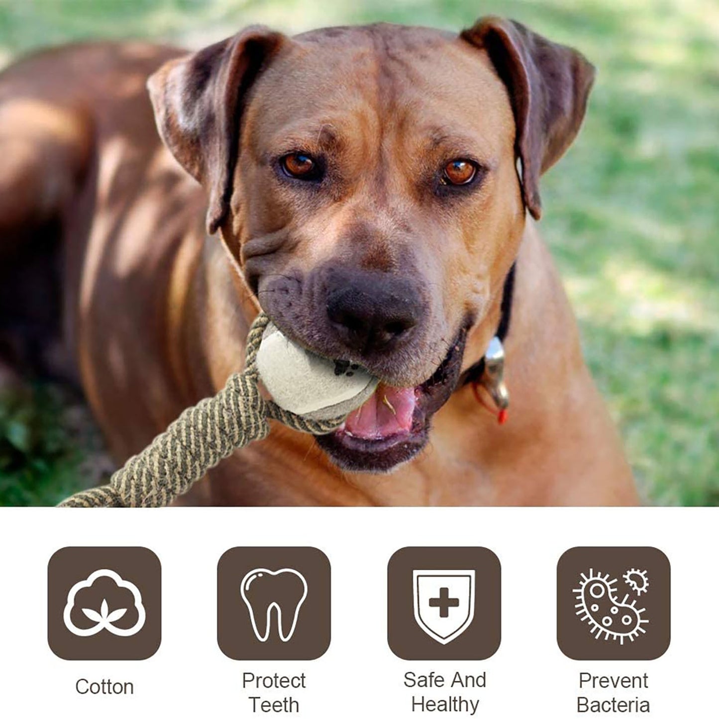Cotton Rope Dog Toy