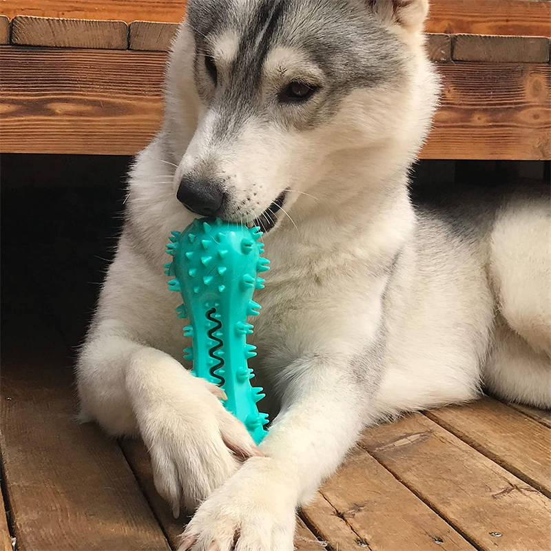 Oral Health Cleaning Dog Chew Toy
