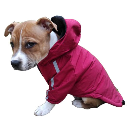 Dog Waterproof Jacket